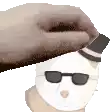 a cat wearing sunglasses and a hat is being petted by a person .