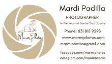 Mardi Mardip GIF - Mardi Mardip Marmi GIFs