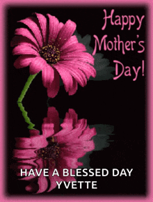 a happy mother 's day greeting card with pink flowers on a black background