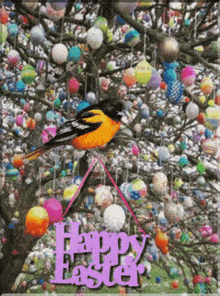 a happy easter sign hangs from a tree with eggs hanging from it