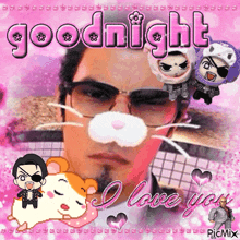 a picture of a man wearing glasses and a cat mask with the words goodnight i love you