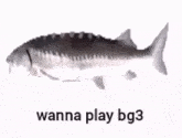 Bg3 Fish GIF - Bg3 Fish Fish Spin GIFs