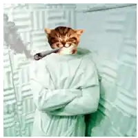 a cat is wearing a straitjacket and smoking a cigarette