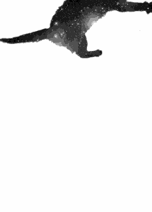 Cat Falling Through Space GIF - Cat Space Falling GIFs