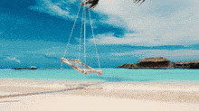 a rope swing is hanging from a palm tree on a beach