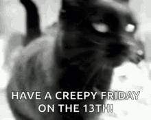 Friday The13th Cat Happy Friday The13th GIF