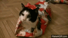 Wrapped Cat GIF - Christmas Cat Christmas Kitty Christmas Present GIFs