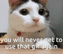 You Will GIF - You Will Never GIFs