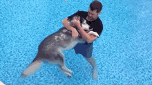 Man'S Best Friend GIF - Dog Man Pool GIFs