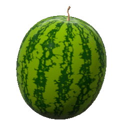 Meme Spinning Sticker - Meme Spinning Watermelon Stickers