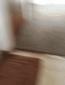 a blurry picture of a person walking on a carpet