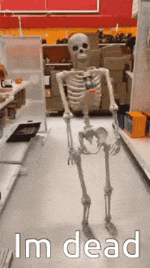 a skeleton is standing in a store with the words i 'm dead underneath it