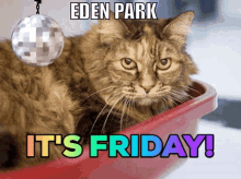 Edenpark Friday GIF