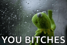 kermit the frog is standing in front of a window with rain drops on it and the words `` you bitches '' below him .