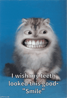 Smile Cat GIF