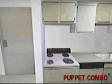 Puppet Combo Vhs GIF