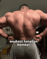 a man 's back is shown with the words " weakest hanedan member " on the bottom