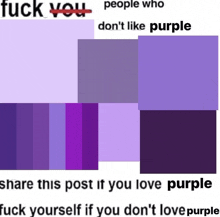 a picture of purple squares with the words `` fuck you people who don 't like purple '' .