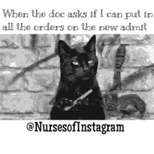 Nursing Black Cat GIF - Nursing Black Cat Cute GIFs
