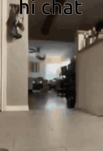 Hi Chat Nuggg GIF - Hi Chat Nuggg Cat GIFs