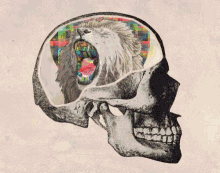 Brain Skull GIF - Brain Skull Art GIFs