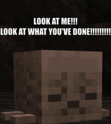 a picture of a minecraft block with the caption look at me look at what you 've done