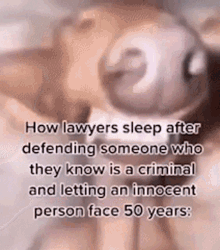 How Lawyers GIF - How Lawyers Sleep GIFs