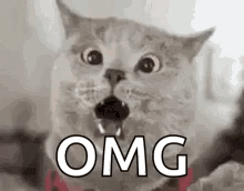 untitled.gif