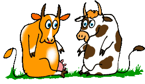 Cows Hug Sticker - Cows Hug Sweet Stickers