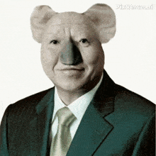 a man in a suit and tie has a koala mask on his head