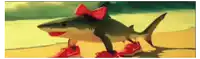 a shark with a red bow on its head is wearing red shoes .