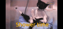 Shower GIF - Shower GIFs