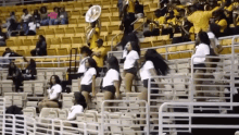 Stingettes Sit Out GIF - Stingettes Sit Out Amber GIFs