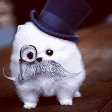 a white dog wearing a top hat and glasses with a mustache
