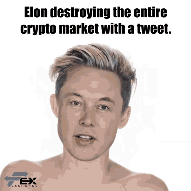 Crypto Crypto Meme GIF - Crypto Crypto Meme Elon Musk GIFs