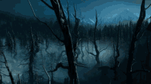 Forest The Witcher GIF - Forest The Witcher Beautiful World Of The Witcher GIFs