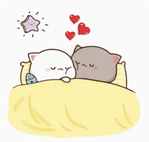 Mochi Cats Sleepin Snuggle GIF - Mochi Cats Sleepin Snuggle GIFs