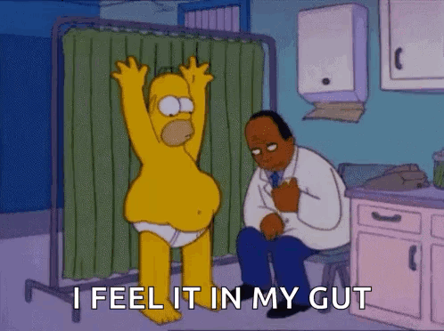 What are 6 Superfoods for Gut Health