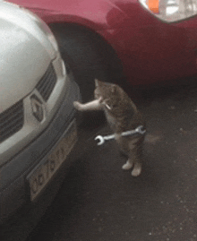 Mechanic Mechanic Kitty GIF - Mechanic Mechanic Kitty GIFs