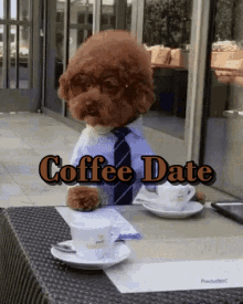 Coffee Date Cute Dogs GIF