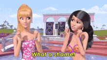 Barbie Life In The Dreamhouse GIF - Barbie Life In The Dreamhouse Raquelle GIFs