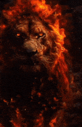 a lion with red eyes is surrounded by flames on a dark background