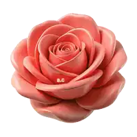a close up of a pink rose with the letters a.c. below it