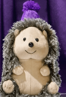 a stuffed hedgehog wearing a purple hat is sitting in front of a purple curtain