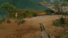 a woman stands on a dirt hill next to a plane with the number 7 on the tail