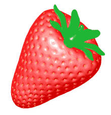 strawberry fraise