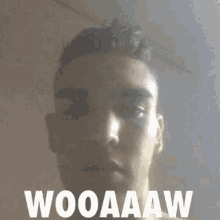 Amazed Wow GIF
