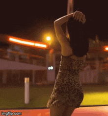 a woman in a leopard print dress is dancing at night with imgflip.com written below her