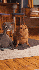 Cat Vs Dog Dogs Eat Anything GIF