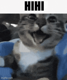 Hihi Smile GIF - Hihi Smile Funny Cat GIFs